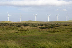 5131   Wind Farm