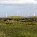 5131   Wind Farm