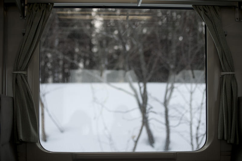 view from a train window in winter