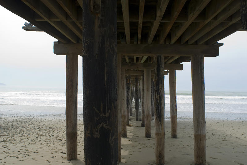 wood pilings forming the support structure of cayucos pier
