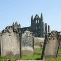 7919   Gravestones at Whitby abbey