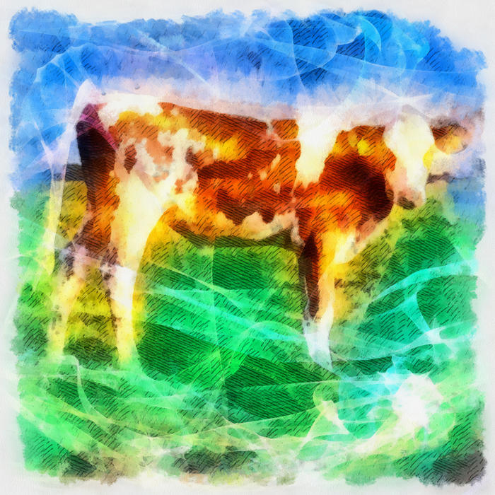 <p>Cow Illustration</p>
