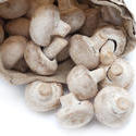 10601   Healthy Fresh Mushrooms from a Paper Bag