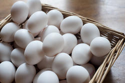 8477   Basket of white chicken eggs
