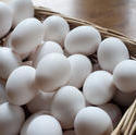 8477   Basket of white chicken eggs