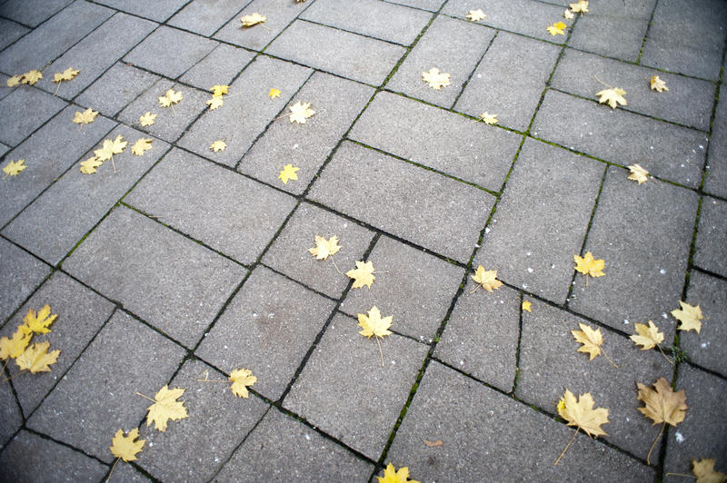 Brick pavement or sidewalk with scattered colorful yellow autumn or fall leaves on the surface of the grey bricks