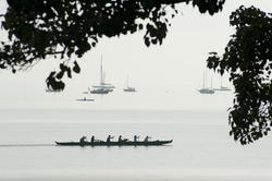 10982   Six Person Canoeing Team Paddling Along Lakeshore