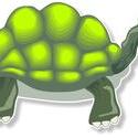 8957   cartoon tortoise