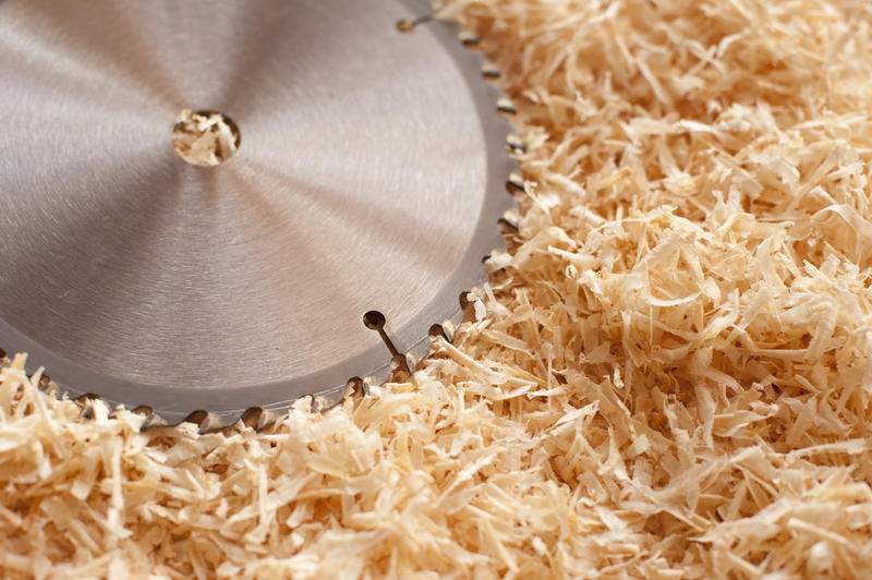 Sharpened hardened steel circular saw blade laying on a background of fresh wood shavings with copyspace