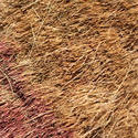 10912   Background texture of a rough coir mat