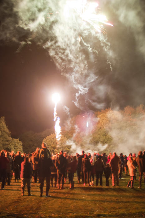 Group of spectators on Bonfire Night standing in a field watching a display of fireworks and crackers