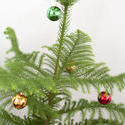 8655   Decorated natural pine Christmas tree