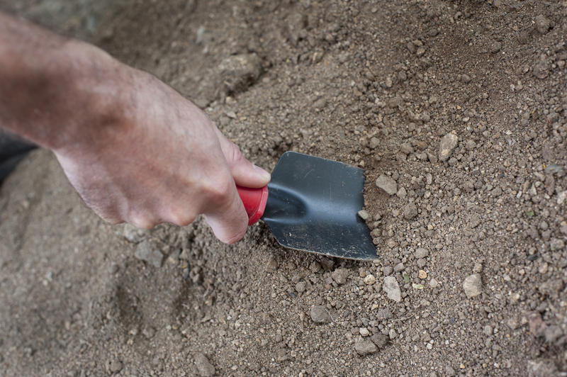 Close up of the hand of a man digging in the garden with a trowel in new soil ready to transplant seedlings or plants