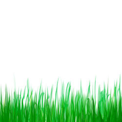 9441   digital grass