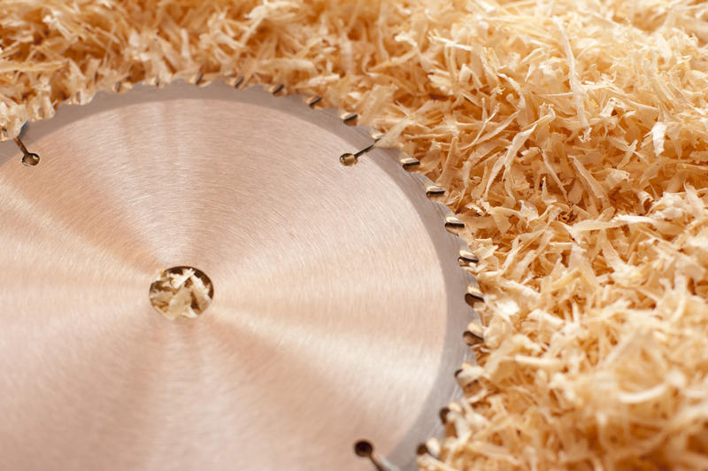 Loose sharp steel circular saw blade lying on a bed of fresh wood shavings in a woodworking workshop with copyspace