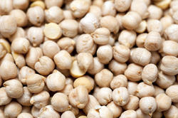 8458   Background of dried chickpeas