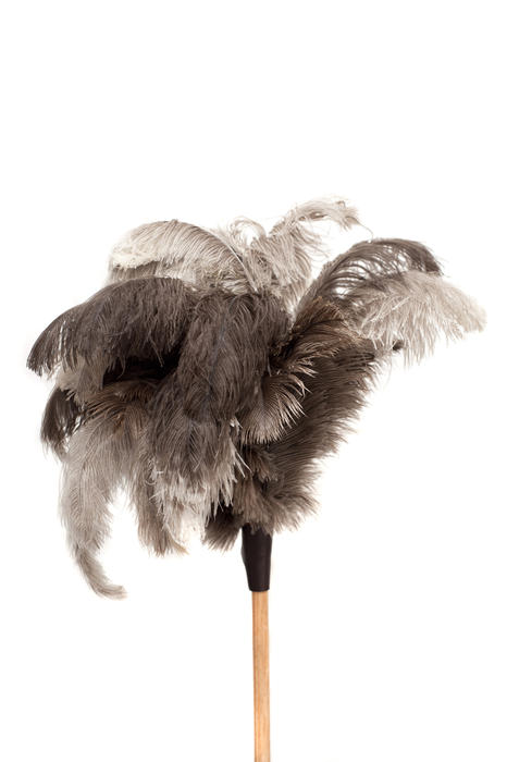 Making a clean sweep - close up Feather Duster on a Wooden Stick Isolated on White Background with Copy Space on Top.