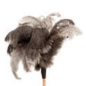 10741   Feather Duster Isolated on White Background