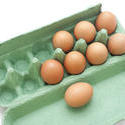 10609   Brown Chicken Eggs in a Green Box