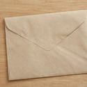 10574   Closed Brown Envelope on Wooden Table