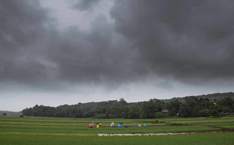 <p>Farmers working during a monsoon day</p>
