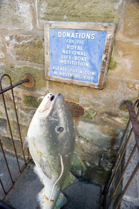 Fish shaped donations box for the Royal National Lifeboat Institution in Robin Hoods Bay, North Yorkshire