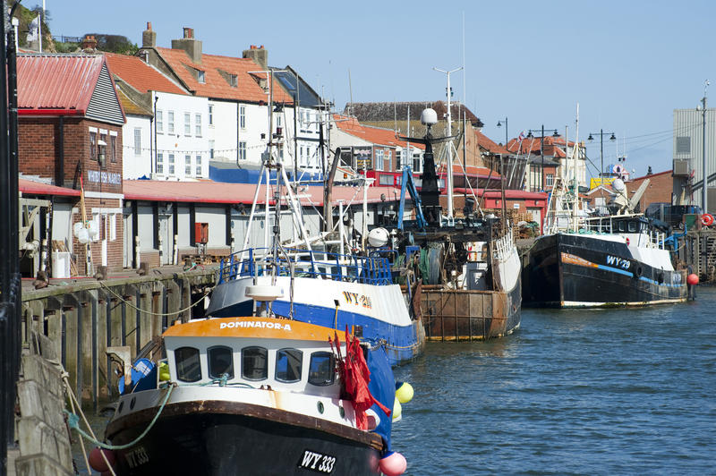 Fishing fleet in Whitby harbour with a variety of fisihing trawlers moored at the quay on a calm sunny day