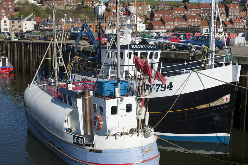 Fishing boats and trawlers moored in Whitby upper harbour, part of the fishing fleet operating from this active fishing town on the Yorkshire coast