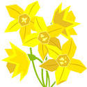 9100   flowers daffodils