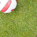 10246   Football on green grass