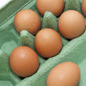 10611   Fresh Brown Eggs on a Green Cardboard Tray