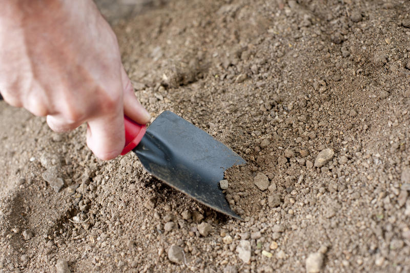 Man preparing a seedbed in the garden digging it over with a trowel before planting, close up view of his hand and the trowel