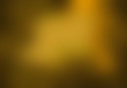 9379   gold background blur