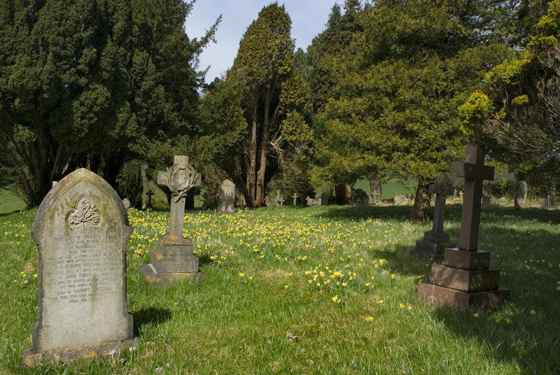 Spring flowers carpet the lush green grass surrounding the gravestones at Pennington cemetry