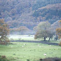 9978   Beautiful pastoral English landscape