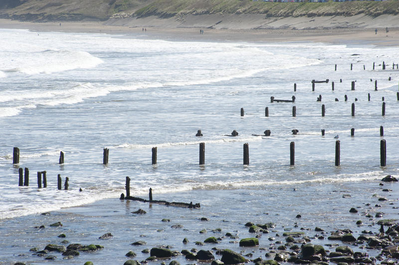 Coastal defenses consisting of a series of wooden poles sunk into the sand to break the force and undertow of the waves and currents and thus reduce erosion of the beach sand