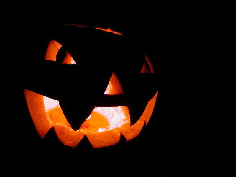 <p>Halloween pumpkin in the dark 2</p>
