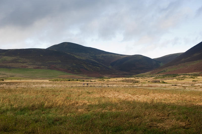 Highlands landscape with grassland or prairie below a rugged mountain range under a cloudy sky