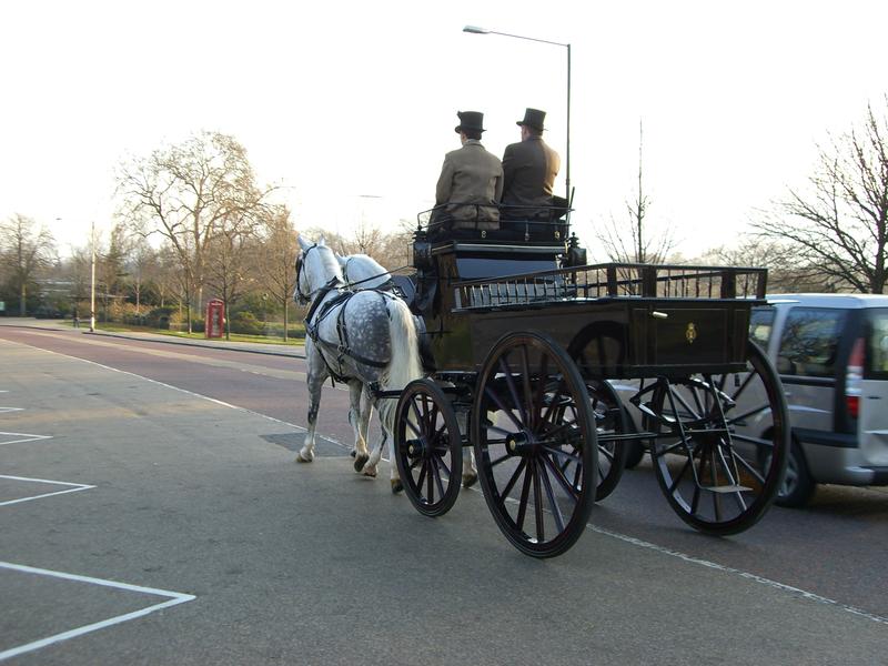 Horse and buggy in hyde park, london