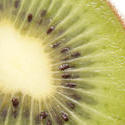 10511   Close up texture of a fresh sliced kiwifruit
