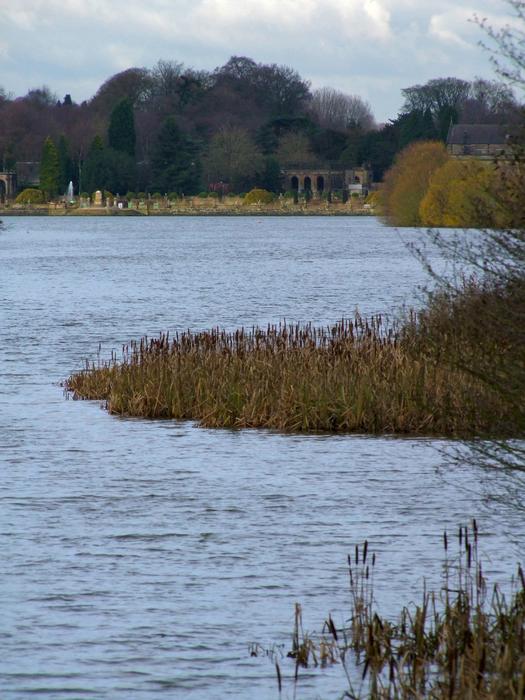 <p>The lake, Trentham</p>

<p>Looking east along the lake towards the Italian gardens, Trentham, Staffordshire, England</p>
