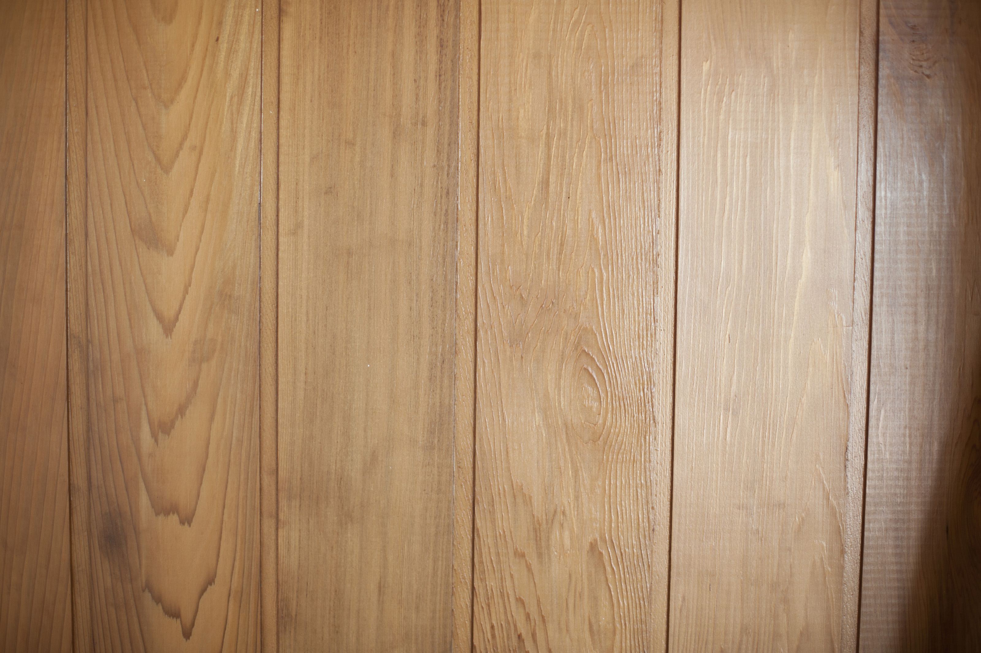 Free Stock Photo 10925 Close Up of Laminate Wood Paneling | freeimageslive