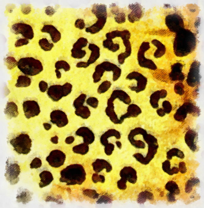 <p>Leopard Print Texture</p>
