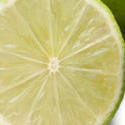8462   Halved lime detail