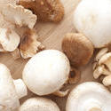 11792   Different white mushrooms