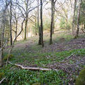 8723   Open woodland on a hillside