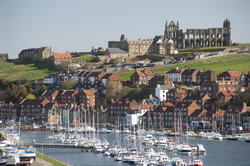 7853   Whitby upper harbour and abbey ruins
