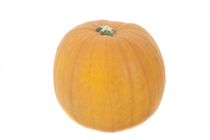 Whole fresh pumpkin, an autumn squash of the cucurbita family, isolated on white