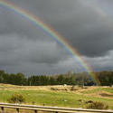 10941   Colorful rainbow in a country field