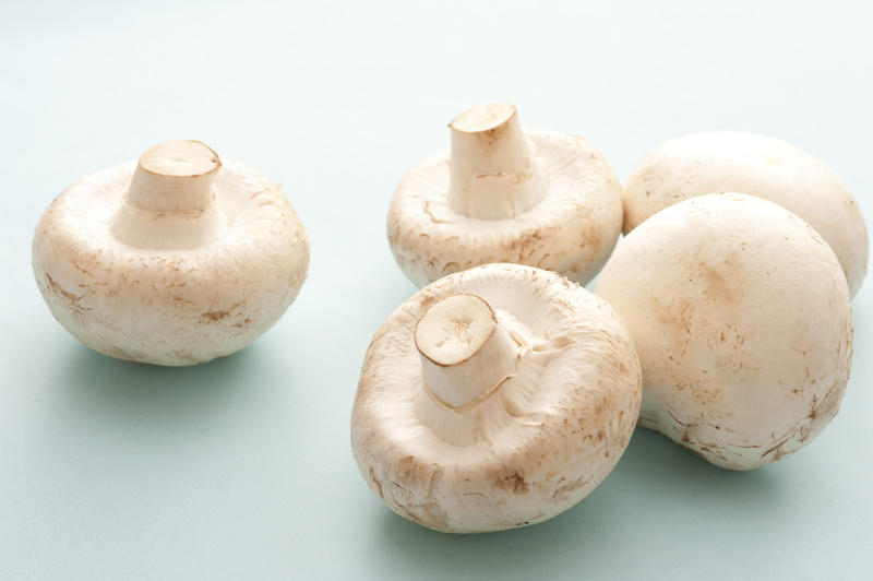 Close-up of several white mushrooms on white background